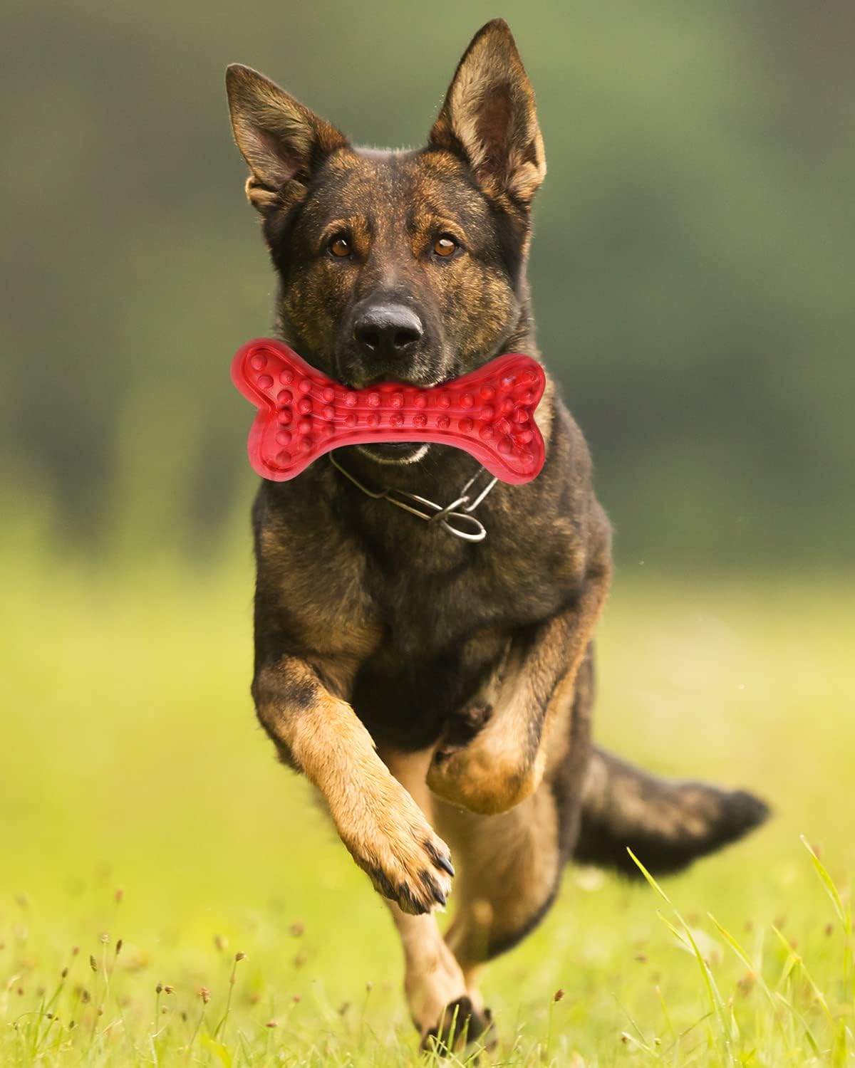 German Shepherd Dog Chew Toys for Aggressive Chewers