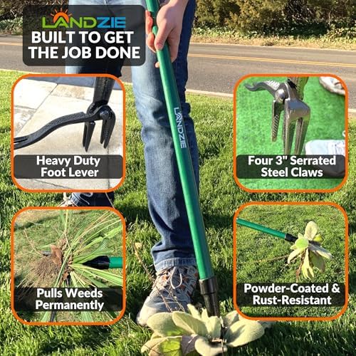Weeder Weed Puller Tool, 55 Inch Steel Stand Up Weed Puller with Long Handle