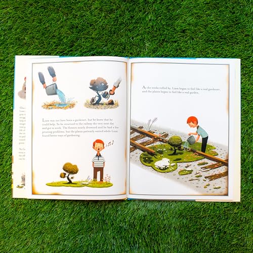 The Curious Garden