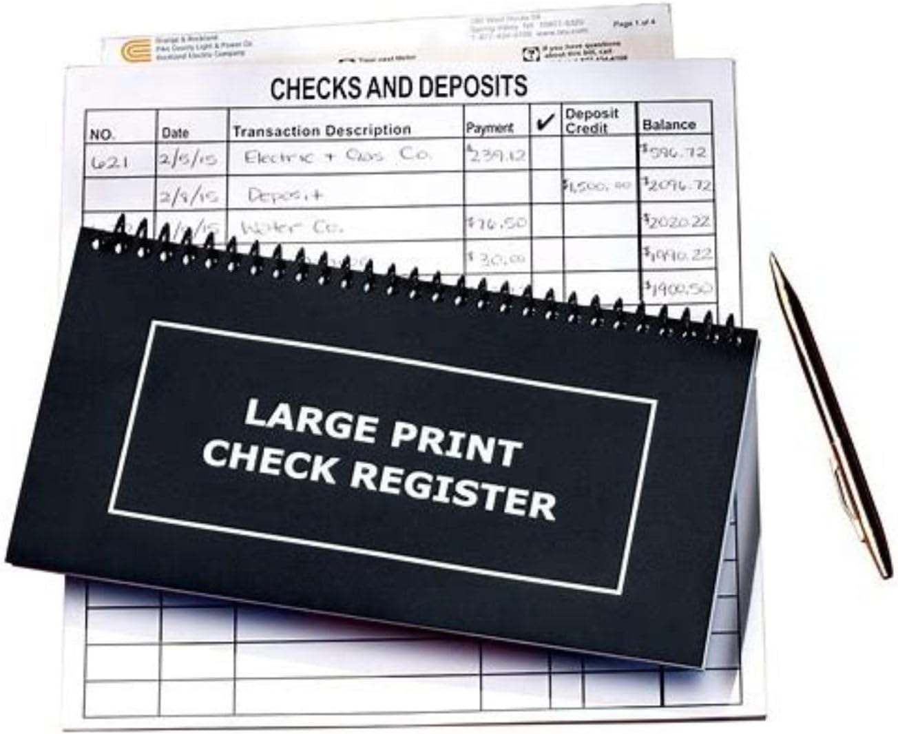 The Giant Print Check Register