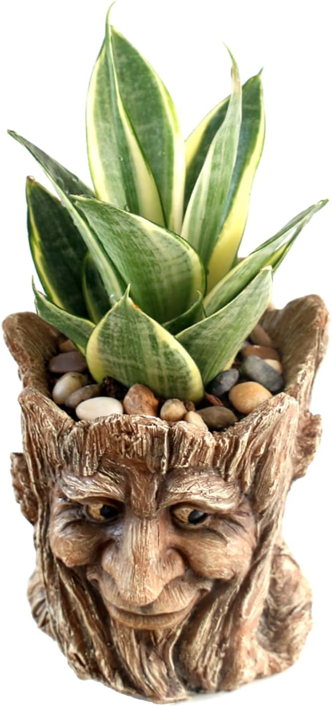 Funny Planter Head Face Plant Pot with Drainage Hole Resin Succulent Plant Holder Pencil Holder Desk Organizer Office Garden Gift (Smile Face)