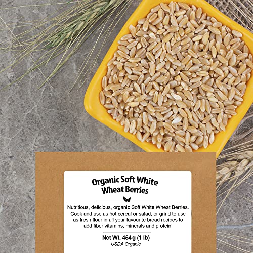 Organic Soft White Wheat Berries 5.8lb - Healthy Whole Grains Bulk | Ideal for Feeder Oats, Flour, Bread, Soup - High in Protein & Fiber - USA Grown | USDA Certified | Vegan | Non-GMO