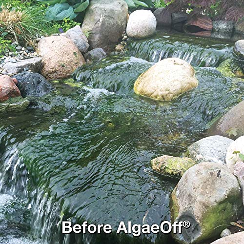 CrystalClear AlgaeOff - String Algae Remover - 2.5 pounds treats up to 1,000 Square Feet