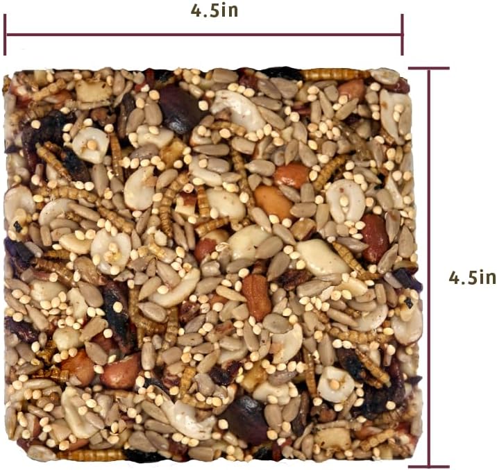 Birds Choice Bugs 'N Nuts Seed Cake | Wild Bird Food with Insects & Fruit | High-Energy Mix of Sunflower Chips, Peanuts