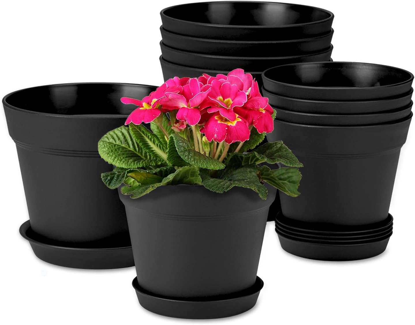 homenote 7.5 Inch Plastic Flower Pots with Drainage Holes and Trays (8 Pcs)