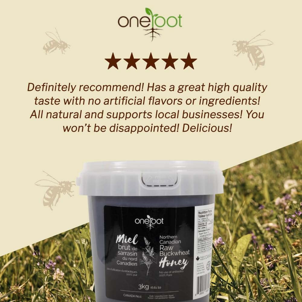 OneRoot Raw Buckwheat Honey – 500g / 17.6oz, Unheated & Unprocessed Dark – Nutrient-Rich, Antioxidant-Packed Natural Sweetener – Pure & Unfiltered Honey