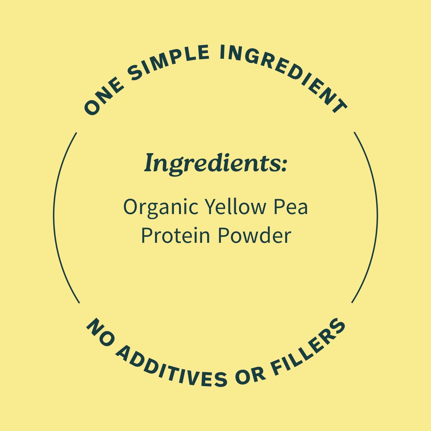 Sprout Living Organic Pumpkin Seed Protein Powder, Unflavored, 20 Grams of Plant Based Protein Powder Without Artificial Sweeteners, Non Dairy, Non-GMO, Vegan, Gluten Free (1 Pound, 14 Servings)