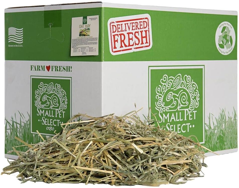 Small Pet Select Oat Hay for Rabbits, Guinea Pigs & Chinchillas, 10 lb | Natural Grass Hay with Seed Heads, High Fiber Forage, For Bunnies, Hamsters, Chinchillas & Other Small Pets