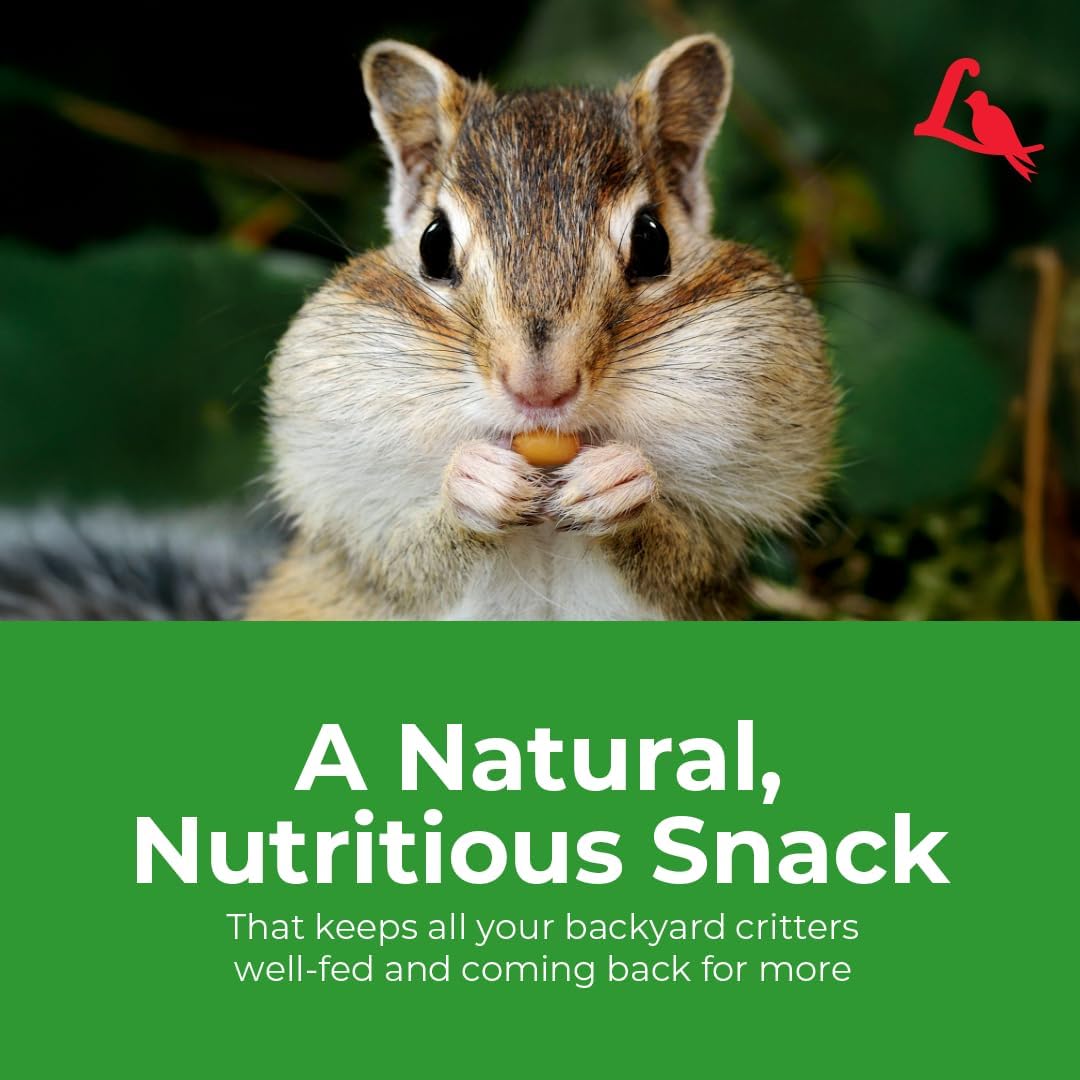 Lyric Wildlife Critter Food for Deer, Squirrels, Turkeys & Rabbits, Wild Bird Seed for Outside Feeders, 10 lb Bag | Food for Deer, Squirrels