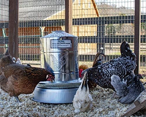 Harris Farms Heated Poultry Drinker Base for Chicken Waterers & Coops