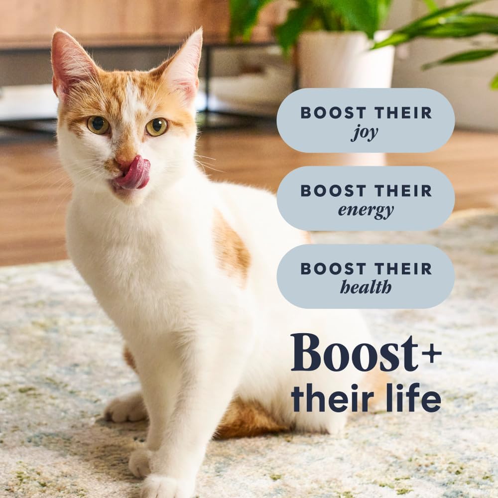 Instinct RawBoost, Dry Cat Food + Freeze Dried, Real Chicken, 10 lb Bag | High-protein kibble with FreshDried raw bites, grain-free, cage-free chicken recipe, minimally processed, complete nutrition