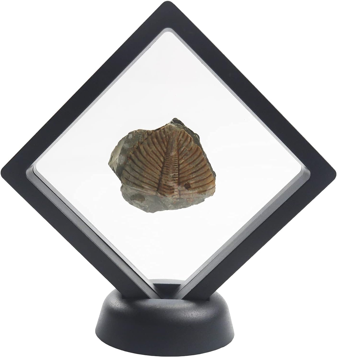 Challenge Coins Display Stand, Medallion Jewelry Specimen Holder, Military Medal Clear Floating Frame Case Box, 3.5"x3.5"x0.8"