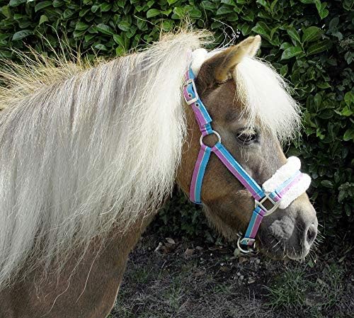 Rhinegold Bright Striped Fur Trim Small Pony Headcollar Turquoise Stripe
