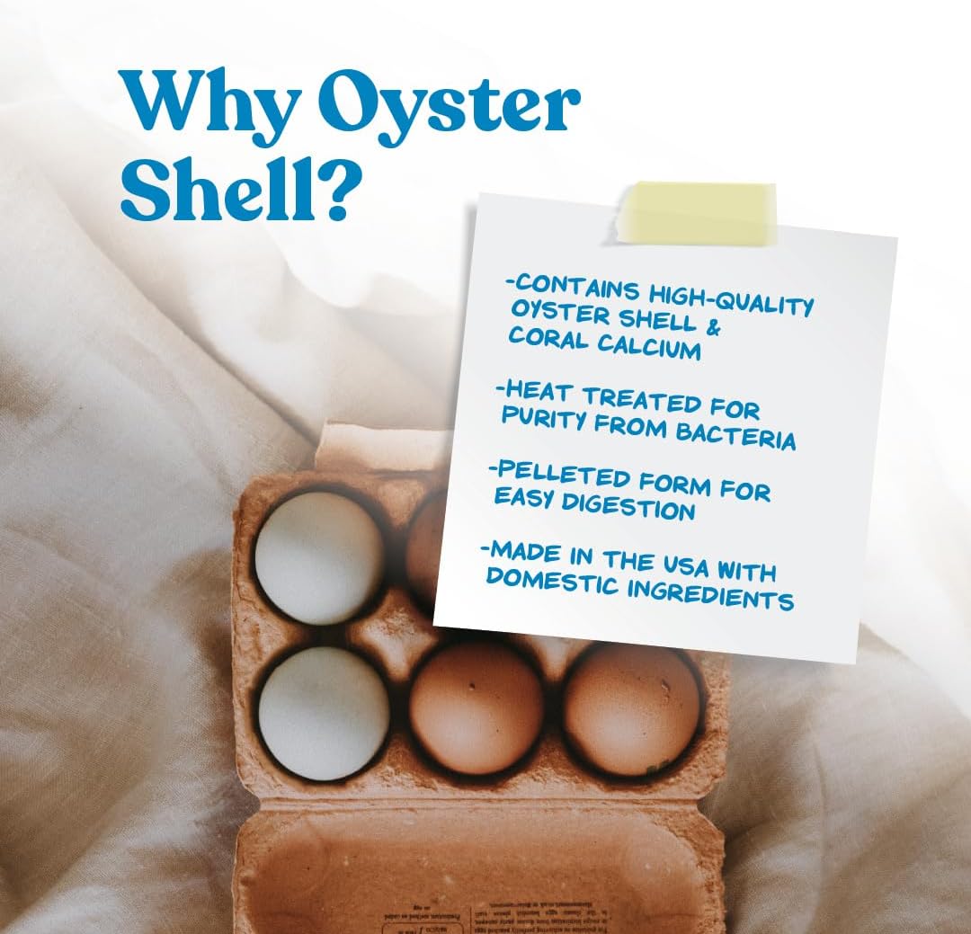 Manna Pro Crushed Oyster Shell for Chickens, Calcium Supplement, 5 lb Bag