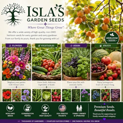 Date Plum Persimmon Tree Seeds (Diospyros Lotus) – 30+ Non-GMO & Heirloom Seeds, Exotic & Rare Fruit Tree, 80% Germination Rate
