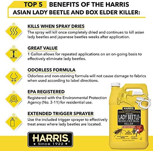 Harris Asian Lady Beetle, Japanese Beetle, and Box Elder Killer, Liquid Spray with Odorless and Non-Staining Extended Residual Kill Formula (Gallon)