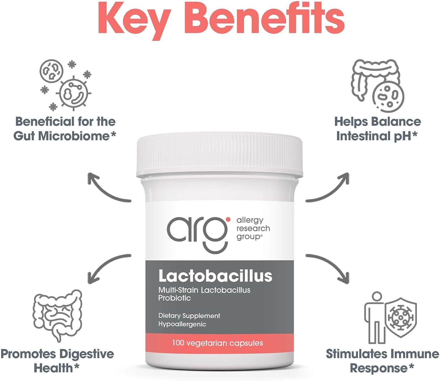 Allergy Research Group ARG Lactobacillus - Multi-Strain Probiotic Capsule - Gut & Digestive Health Support - Dairy Free