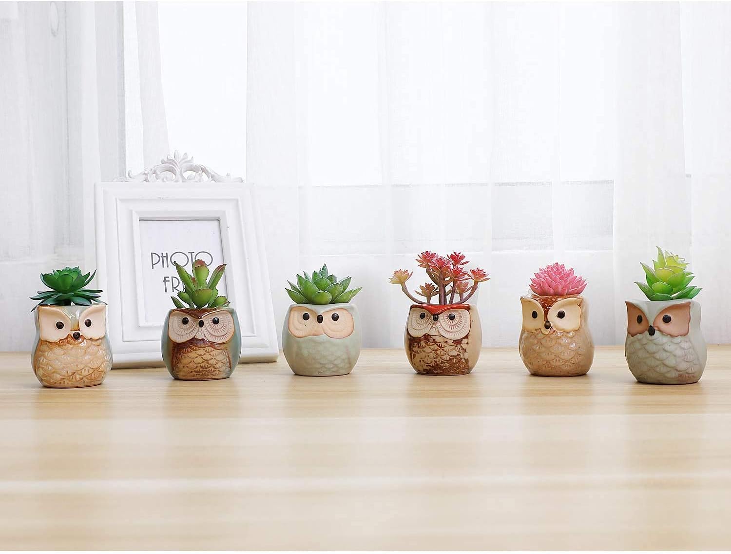 T4U Mini Succulent Ceramic Pots for Gifts, Small Planters for Decor 6 Pack | Planters with Drainage, for live cactus plants, bonsai tree starter pots, indoor windowsill decor, office desk accents