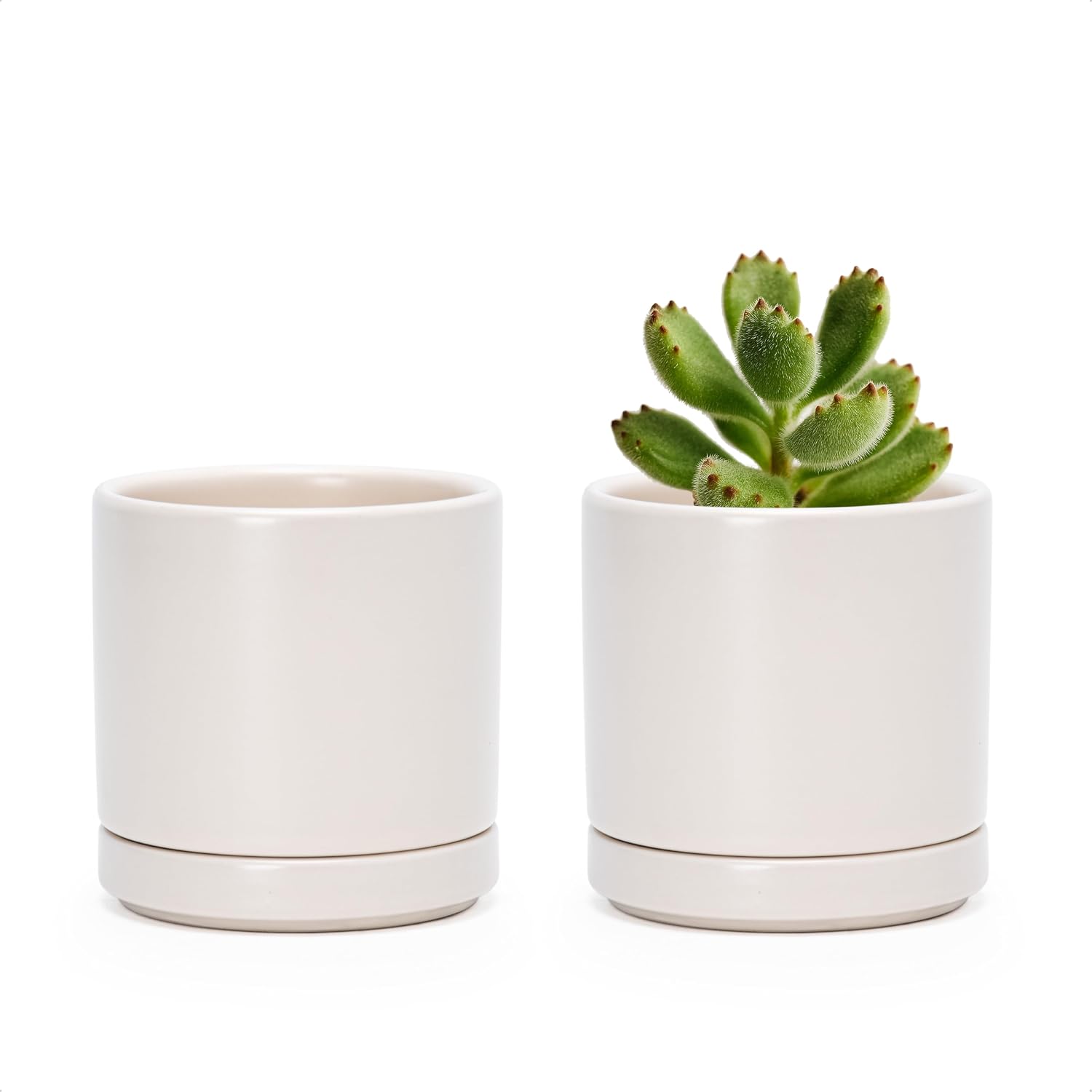 D'vine Dev 2-Pack Ceramic Pots with Saucers, White/Grey, 4.7 in, 94-V-B-6