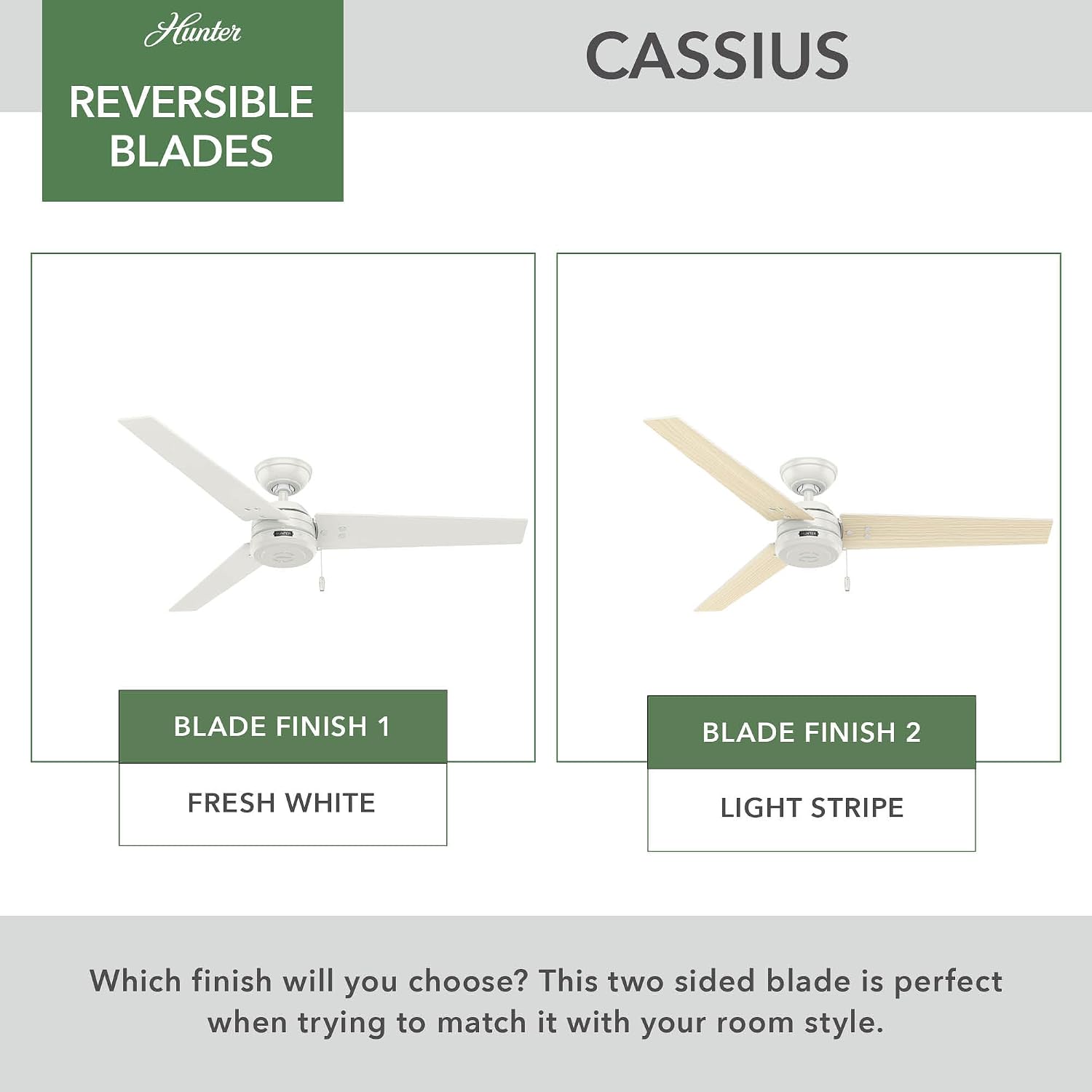 Hunter Cassius, Outdoor or Indoor, Ceiling Fan, 44 inch, Matte Black