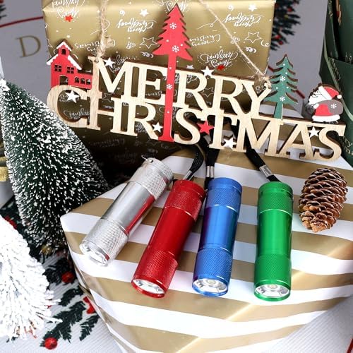 FASTPRO 20-Pack Aluminum LED Flashlights Set with AAA Batteries (1W)