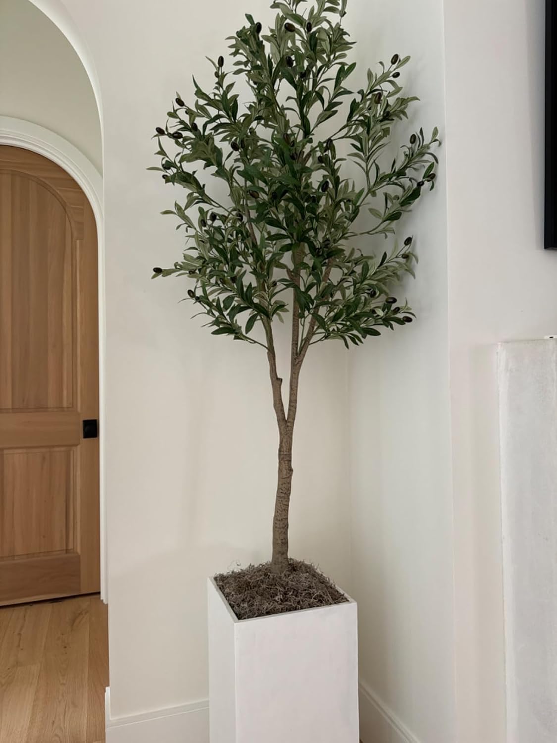 Mosser Lee ML0560 Spanish Moss, 250 Cubic Inches
