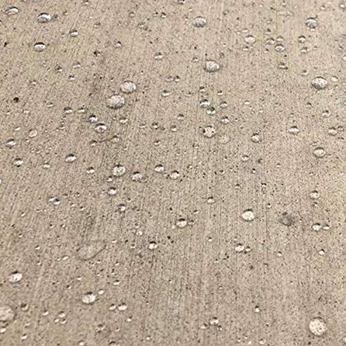 Concrete/Masonry Siloxane Odorless Spray-On Application Waterproofer, Safe for Use Around Plants, Pets, and People, 1 Gallon