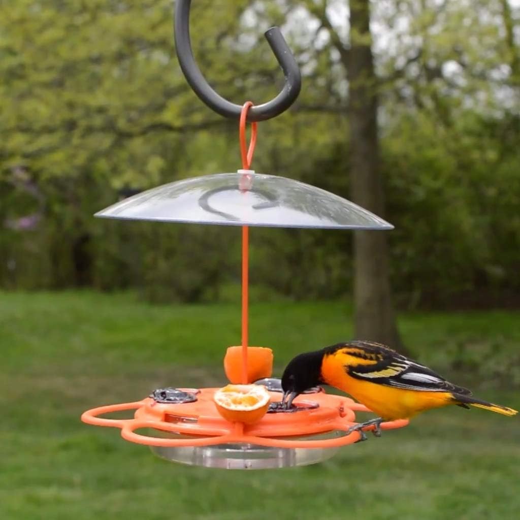 Nature's Way OFM1 Wire Oriole Feeder