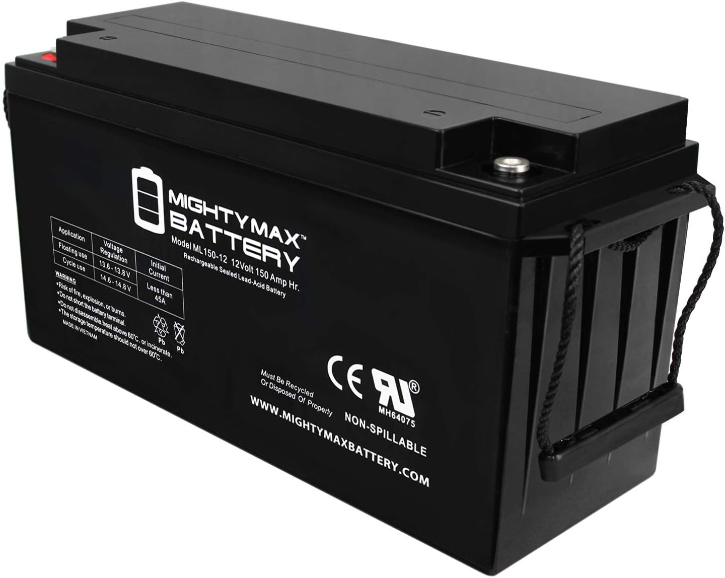 ML100-12 - 12 Volt 100 AH, Internal Thread (INT) Terminal, Rechargeable SLA AGM Battery, 1 Count (Pack of 1)