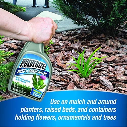 PWG-B-128-S Grass Ready to Use Weed Killer, 128 Fl Oz (Pack of 1), Clear