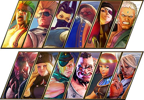 STREET FIGHTER V ARCADE EDITION Japanese Ver.