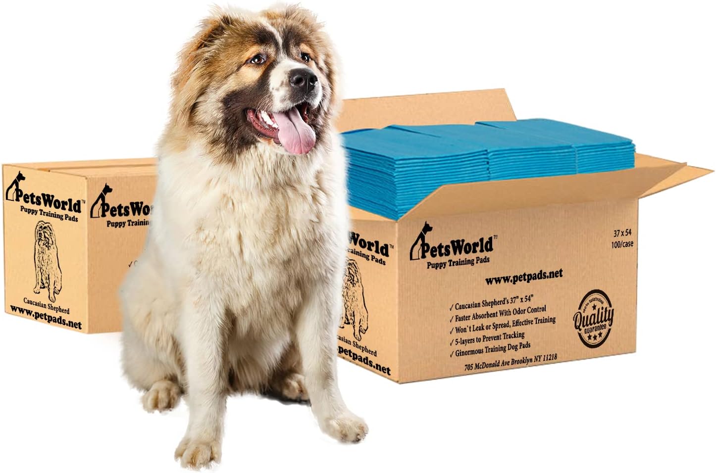 PetsWorld Enormous Dog Pee Pads 37"x54" 50 Count – XXXL Pet Pee Pads for Giant Dogs & Pets, Heavy Duty Leak-Proof Dog Training Pads, Super Absorbent Quick-Dry Potty Pads with Adhesive Tabs