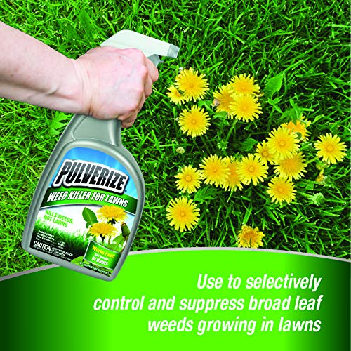 Weed Killer for Lawns Concentrate