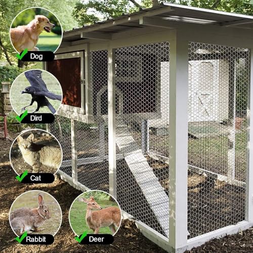 Amagabeli Chicken Wire Fencing Poultry Wire Netting 36inch x 50ft 2 Inch Hexagonal Galvanized Mesh Garden Fence Animal Barrier for Garden Protection Craft Rabbit Cage Dog Roll Chicken Coop Accessories