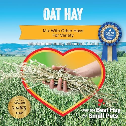 Small Pet Select Oat Hay for Rabbits, Guinea Pigs & Chinchillas, 10 lb | Natural Grass Hay with Seed Heads, High Fiber Forage, For Bunnies, Hamsters, Chinchillas & Other Small Pets