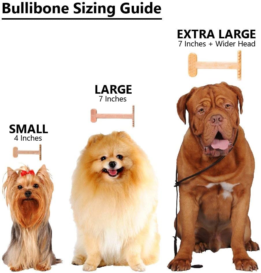 Bullibone Nylon Dog Chew Toy for Aggressive Chewers - Dental Hygiene Bone with Beef Flavor, Durable Tough Chew Toys for Small Dogs, Indestructible Dog Bone - 3 Pack