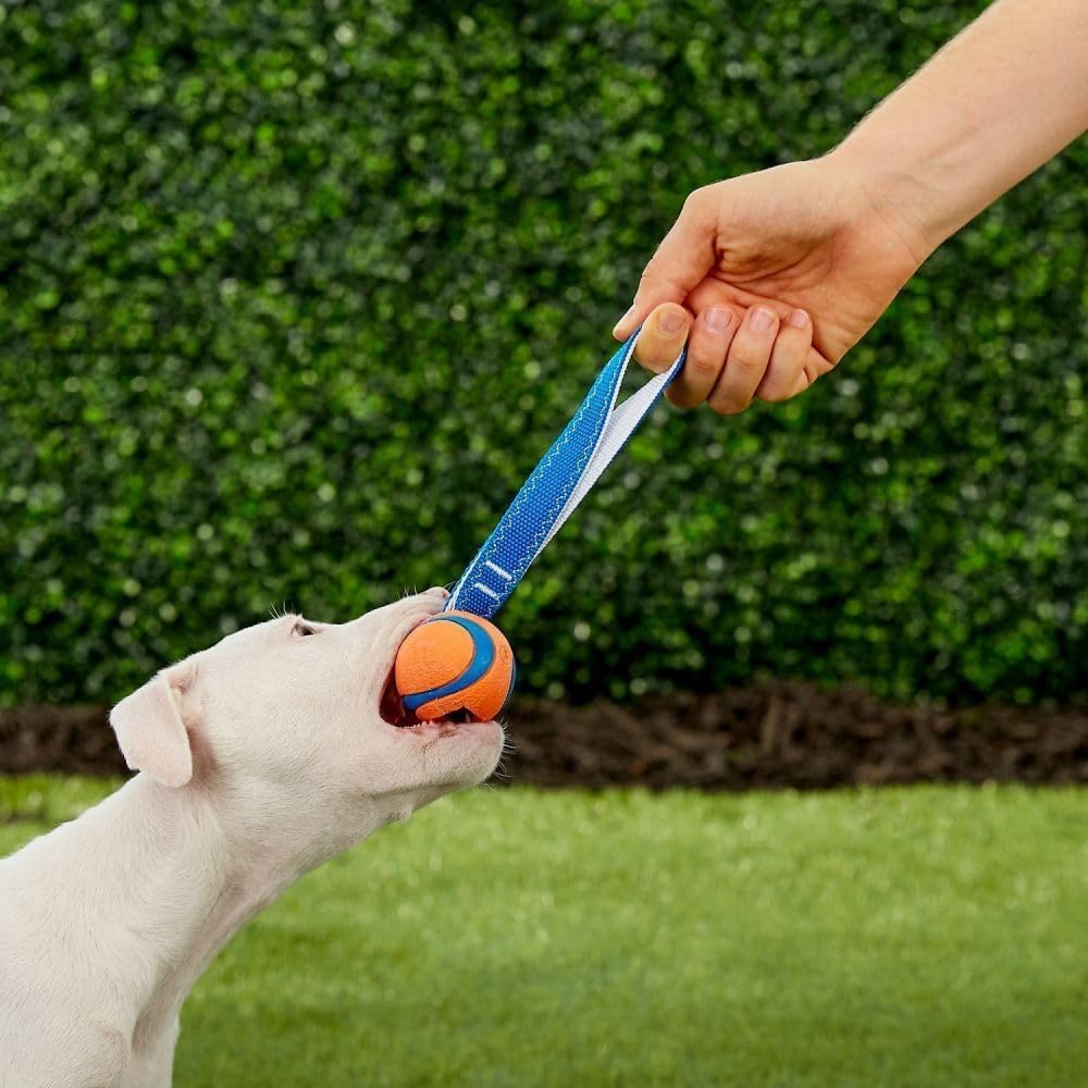 Chuckit! Ultra Tug Dog Toy - Ultra Ball on a Durable Nylon Cord Handle - Fetch and Tug-of-War Toy for Dogs - Size Large - For Breeds 60-100 lbs - 3-inch Diameter - Orange and Blue