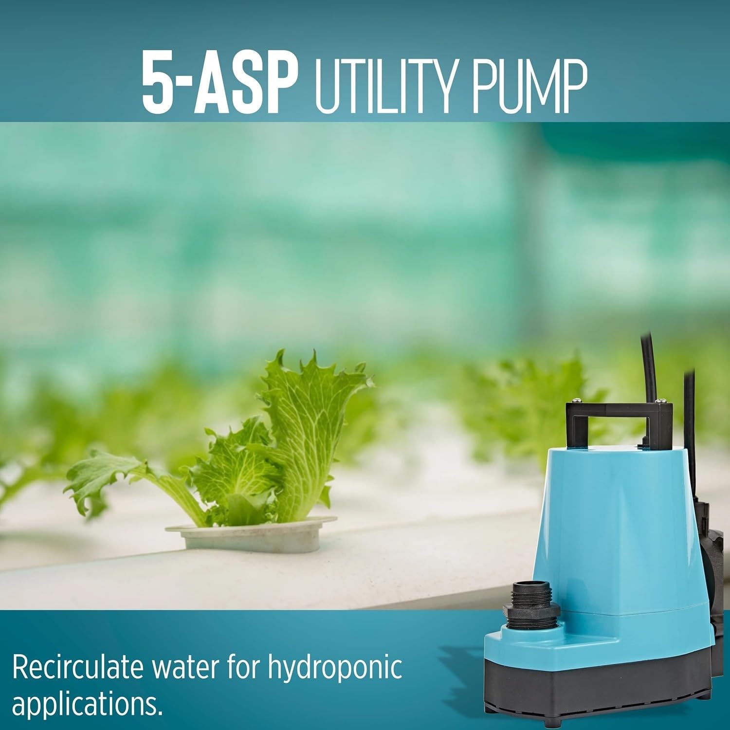 Little Giant 5-ASP 115V, 1/6 HP Automatic Utility Pump, 10' Cord | 1500 GPH, Submersible, Cast Aluminum, Piggyback Diaphragm Switch