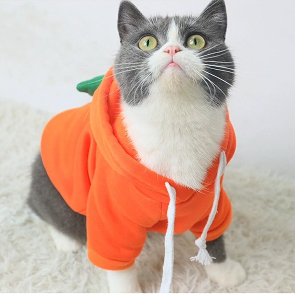 ANIAC Dog Hoodies Sweatshirt with Bunny Ears Spring Puppy Clothes for Small Dog Girl Boy Soft Doggy Sweater Cat Apparel Pet Clothing for Kitten
