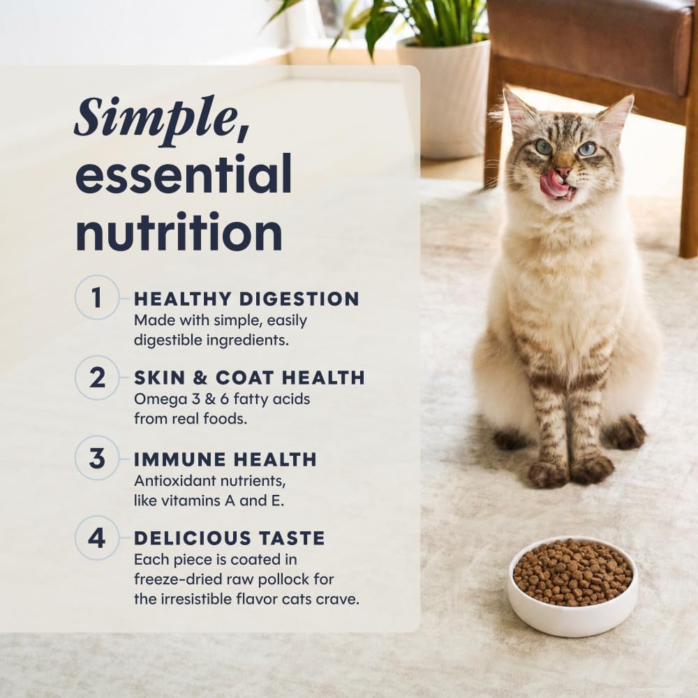 Instinct Limited Ingredient Diet Dry Cat Food, Real Rabbit, 4.5 lb. Bag | Single animal protein and vegetable recipe, raw-coated kibble, farm-raised rabbit, gentle on sensitive stomachs