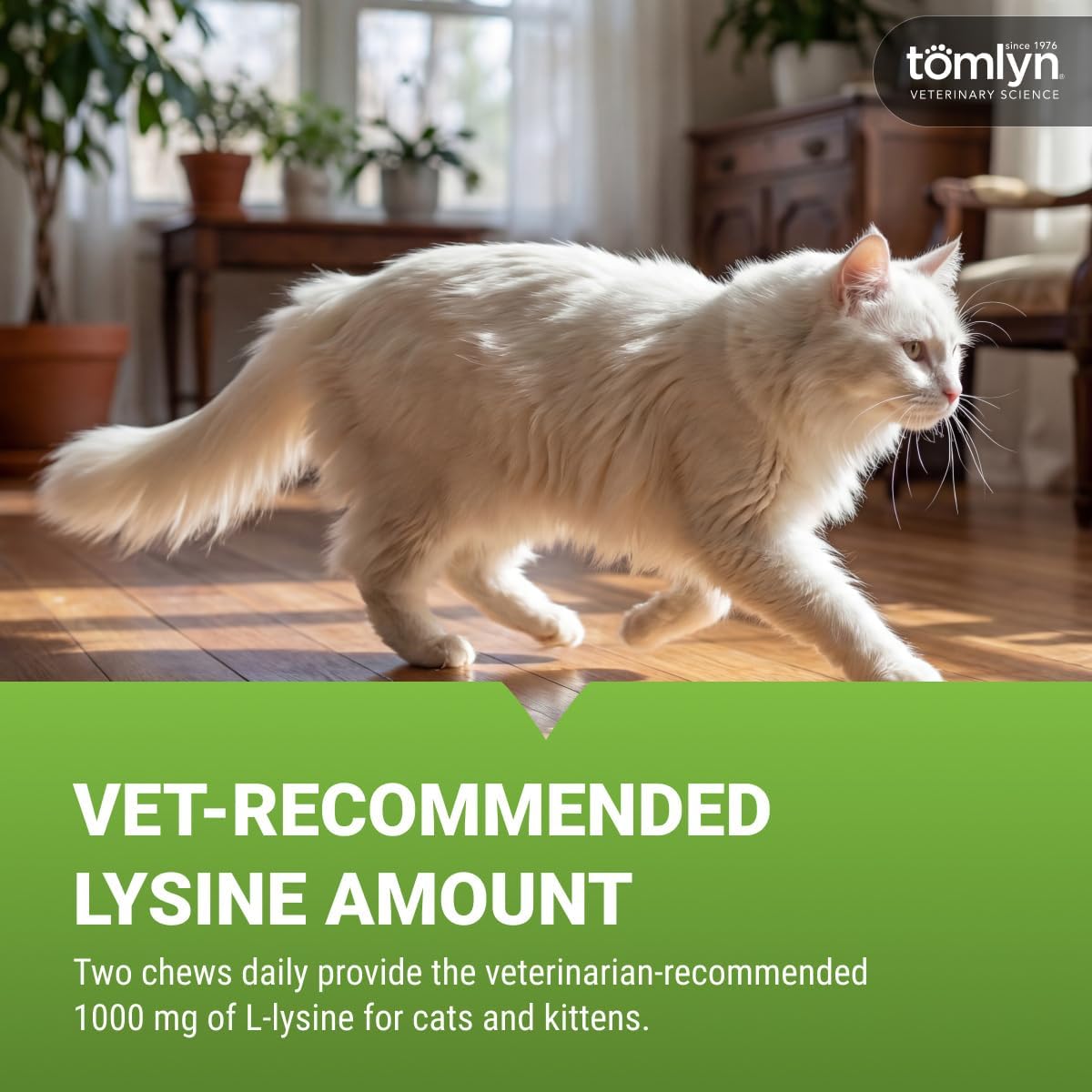 Tomlyn Immune Support Daily L-Lysine Supplement, Fish-Flavored Lysine Chews for Cats and Kittens, 30ct