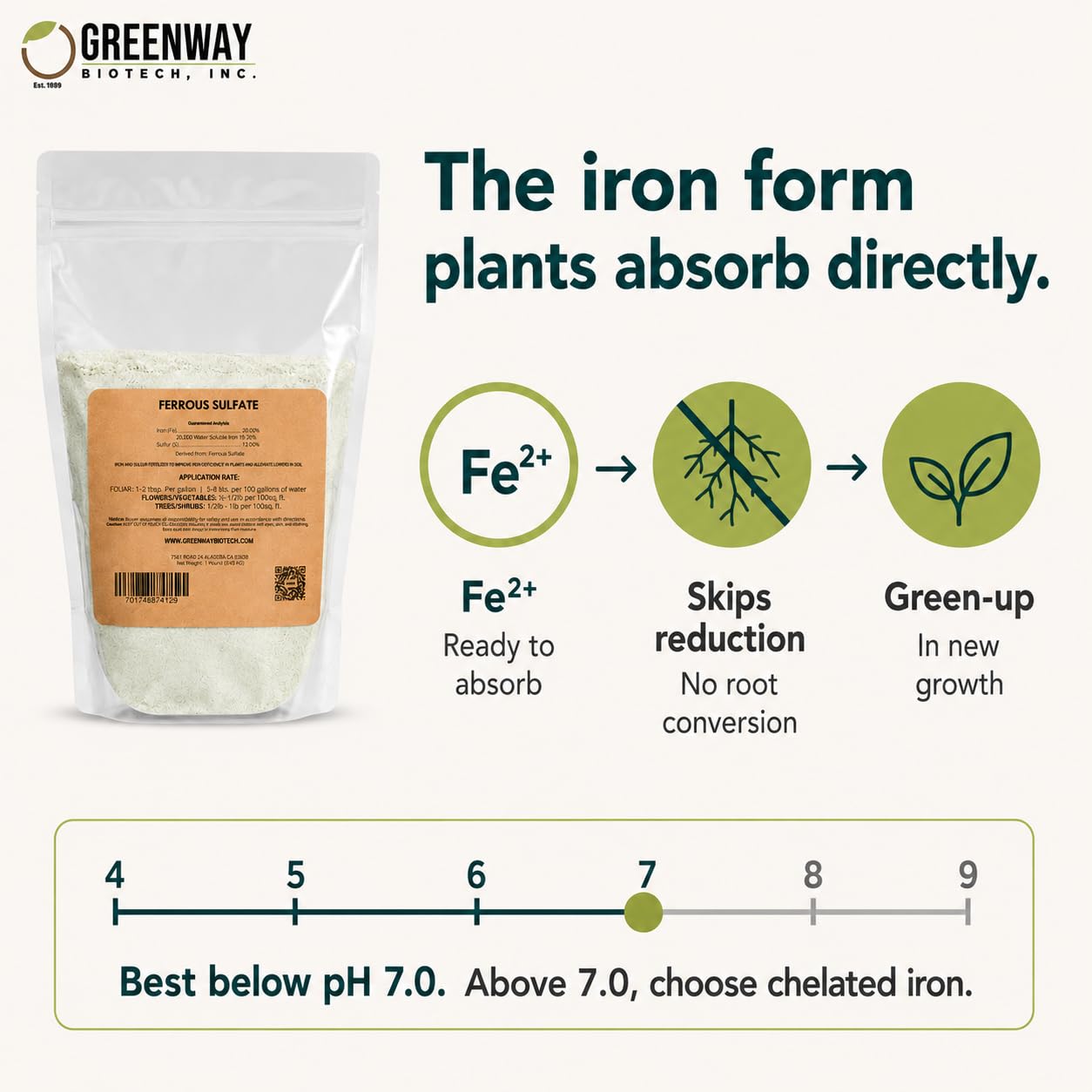Greenway Biotech Ferrous Sulfate 20% Iron Fe Fertilizer, Water Soluble Plant Food with Sulfur for Lawns Trees Shrubs Vegetables and Acid-Loving Plants, Powder Soil Amendment 1 LB