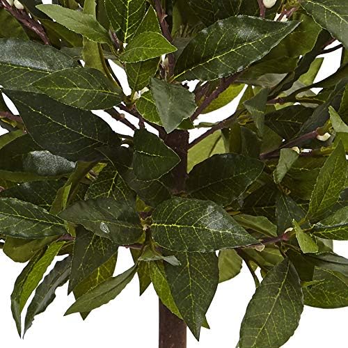 Nearly Natural 2ft. Sweet Bay Artificial Tree in White Glossy Cylinder