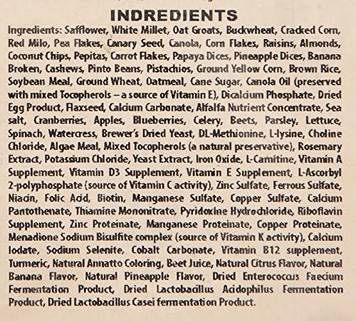 Higgins 466125 Safflower Gold Natural Food For Conure/Cockatiel, 25-Pound