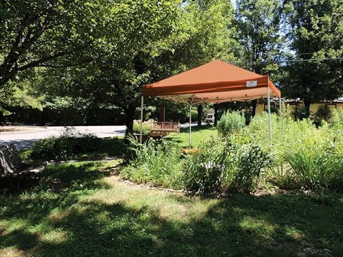 ShelterLogic Straight Leg Pop-Up Canopy with Roller Bag, 10 x 10 ft.