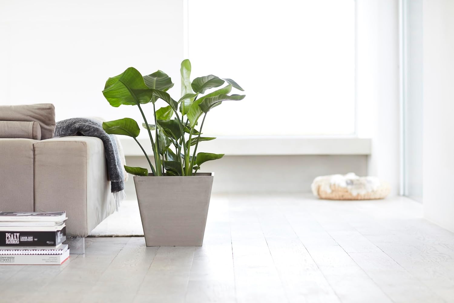 Ecopots Rotterdam Square Flower Planter, White Grey, 8" | Modern Style, Durable Recycled-Based Composite Construction, Weather and UV-Resistant, for Indoor/Outdoor Use