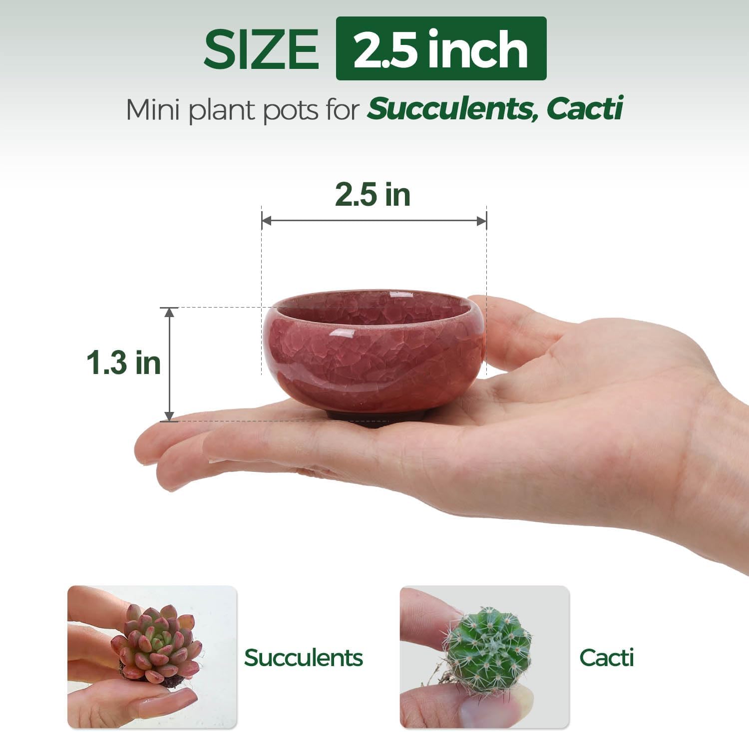 T4U 2.5 Inch Small Ceramic Succulent Planter Pot with Drainage Hole Set of 6, Ice Crack Glaze Plant Container for Cactus, Gardening Plant Gifts for Women Mom Aunt Home Office Decor | Cactus planters set, indoor herb garden, bonsai tree starter, tabletop…
