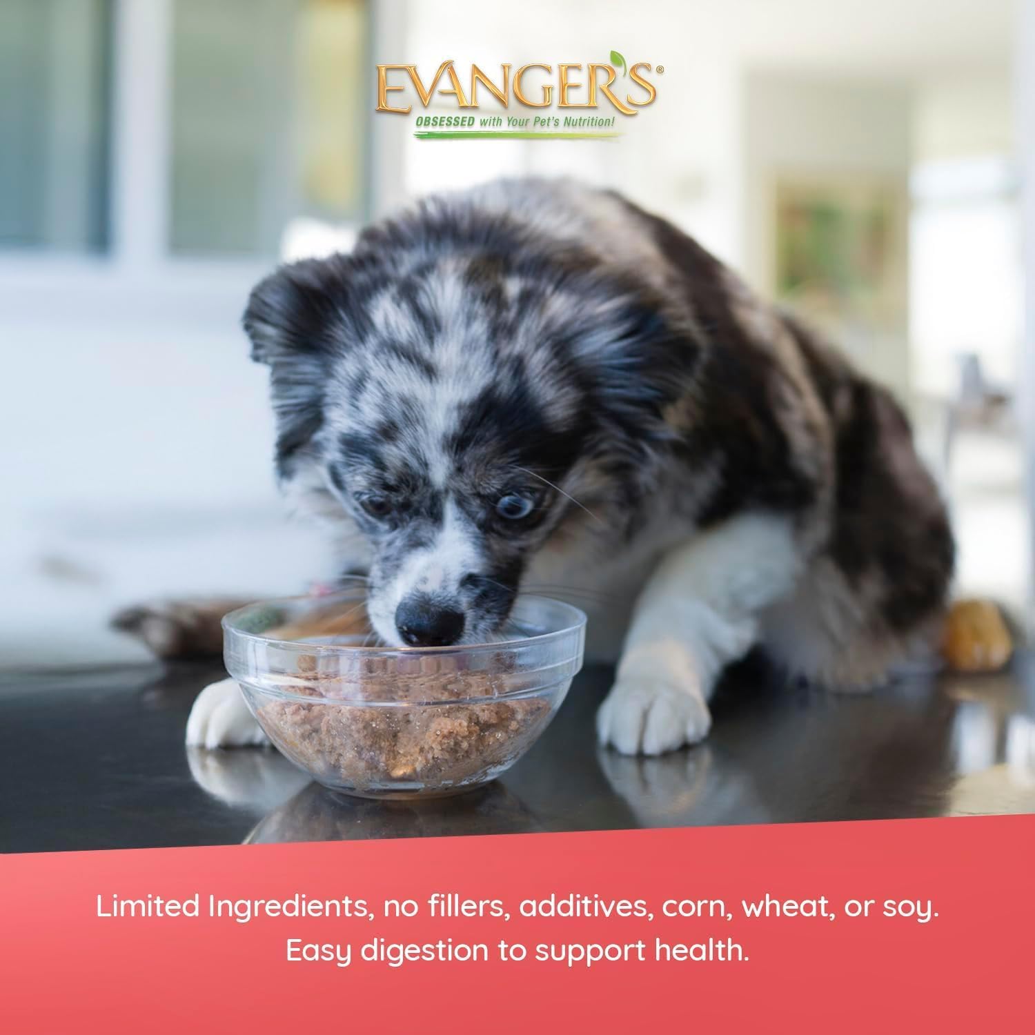 Evanger's Heritage Classic Puppy Food – 12 Count, 12.5 oz Each – Tasty Meat-Based Formula for Puppies & Underweight Dogs – Added Vitamins & Chelated Trace Minerals – Grain & Gluten Free