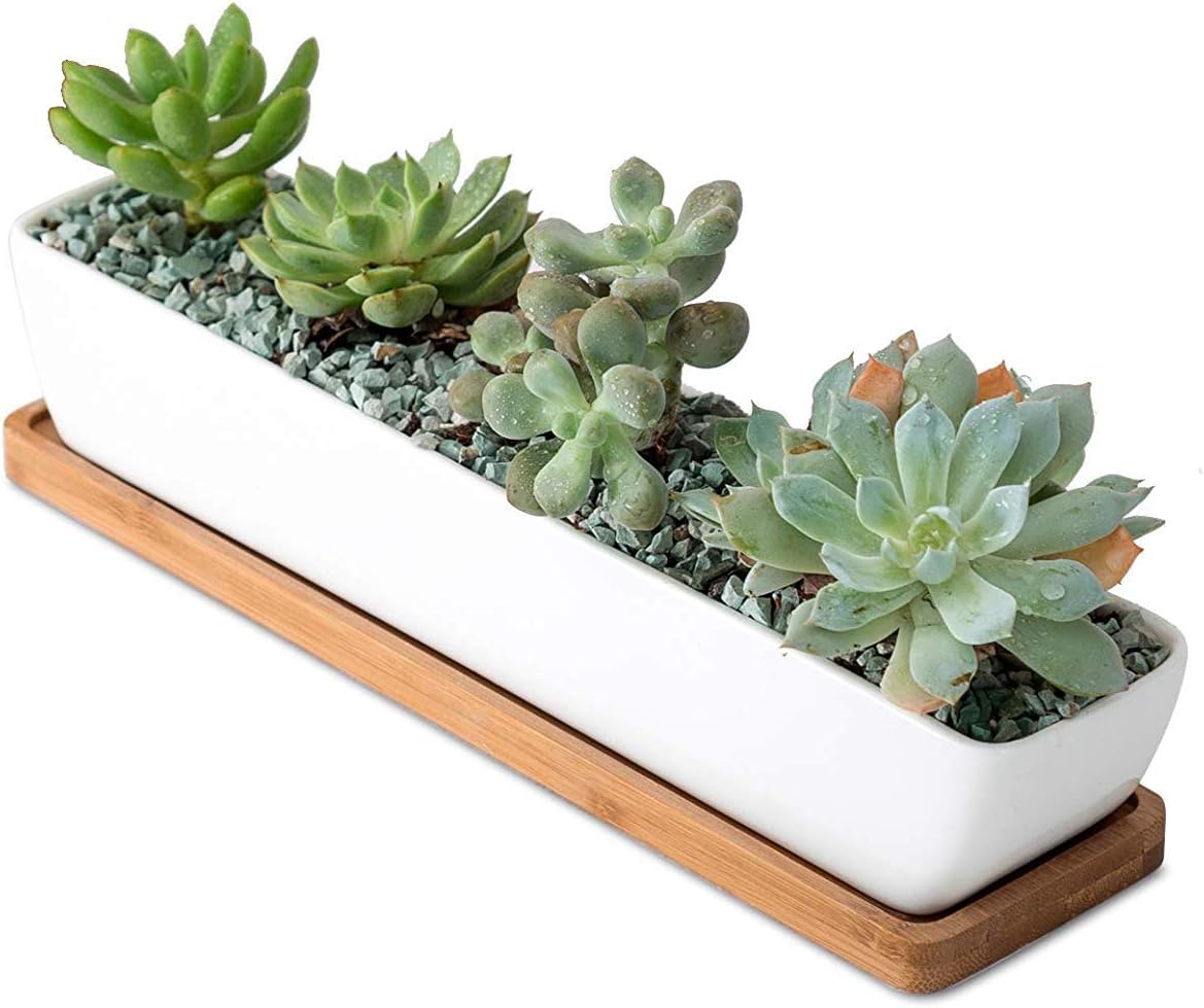 SeaStar White Rectangular Long Succulent Planter Pot, 11x2.16x1.75inch Modern Minimalist Ceramic Succulent Planter Pot with Saucer for Office, Desk