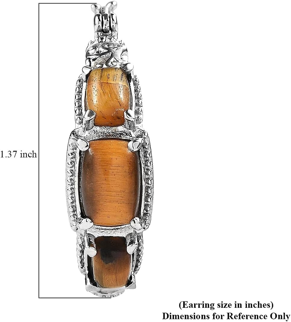 Tigers Eye 10.50 ctw Earrings in Stainless Steel